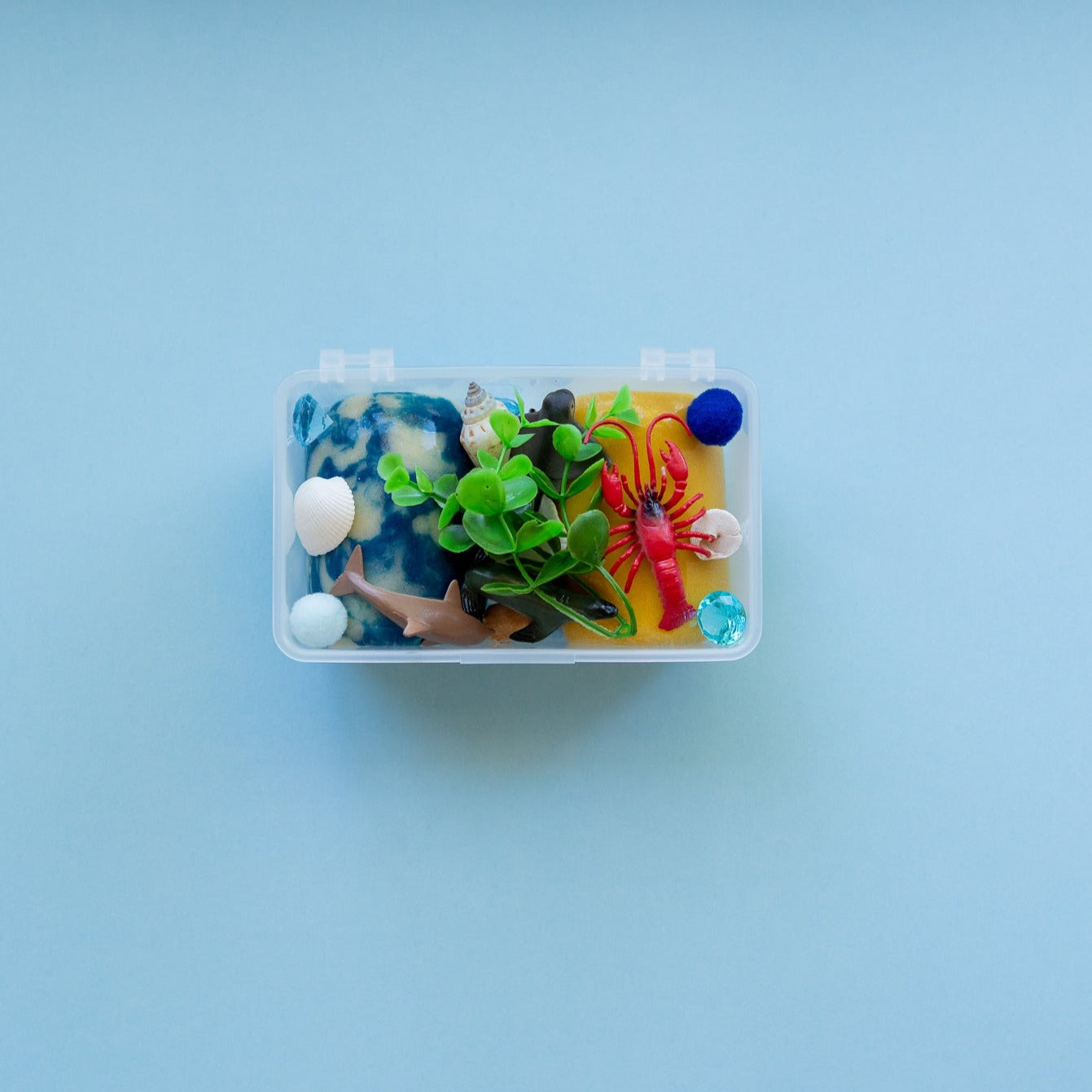 Ocean Mini