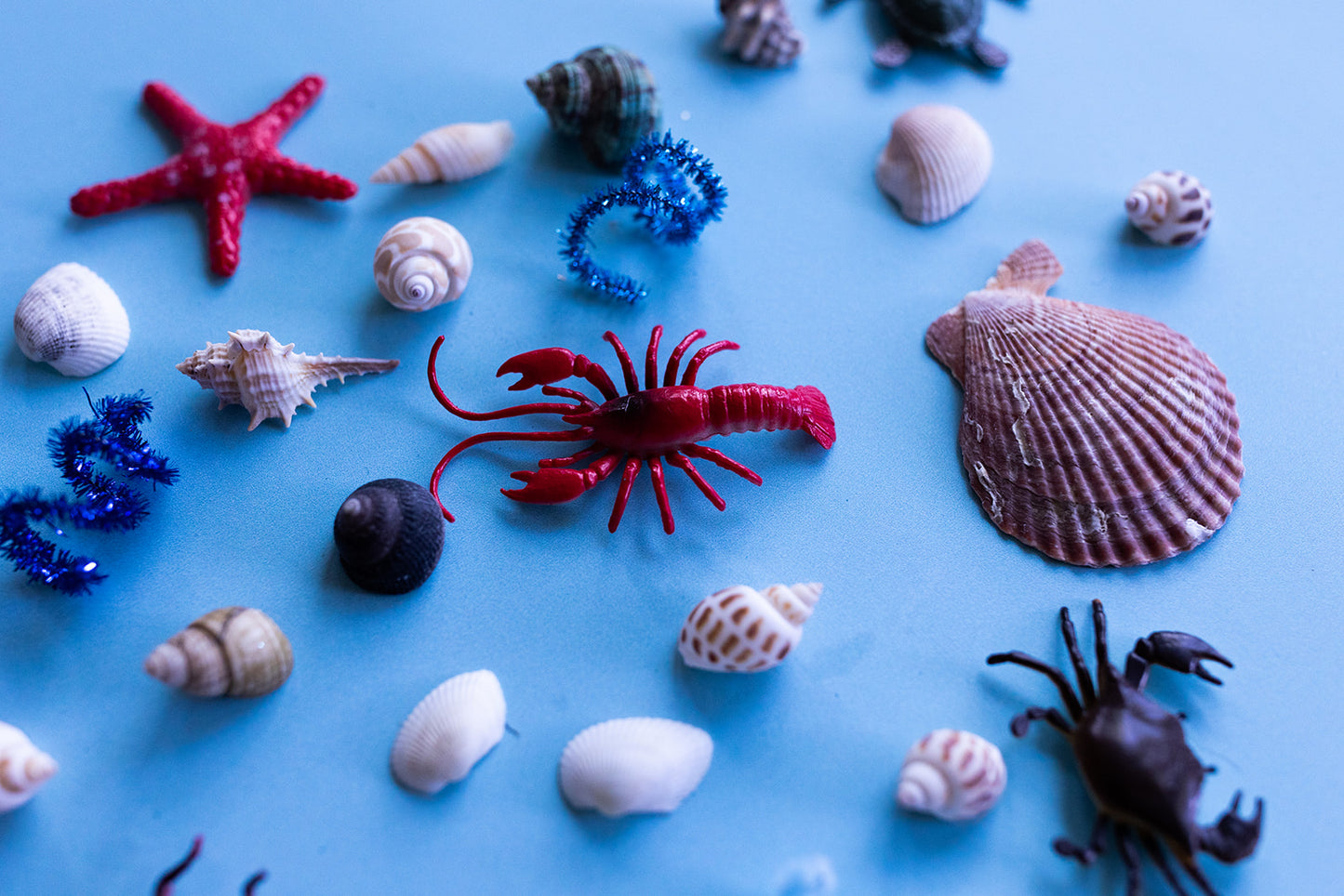 Ocean Box