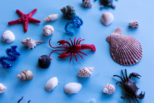 Ocean Box