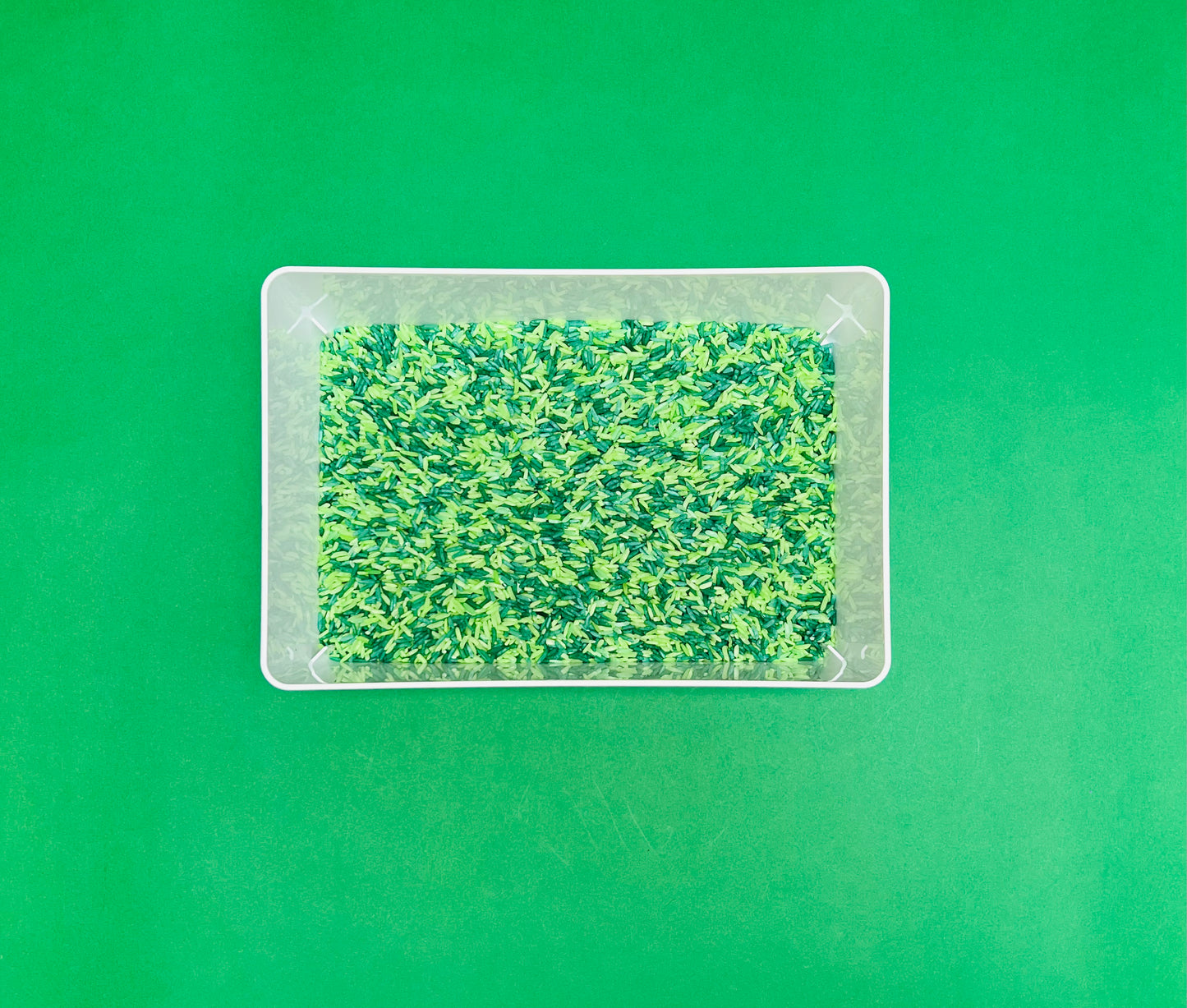 Sensory Rice