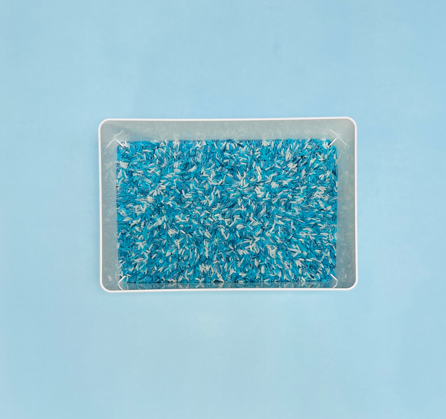 Sensory Rice
